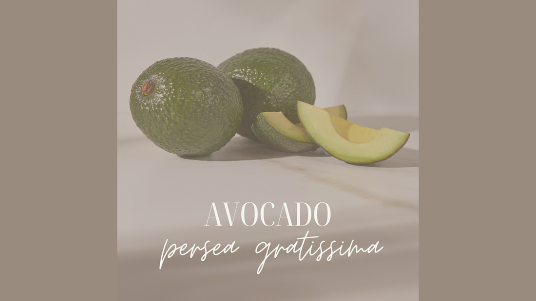 Avocado