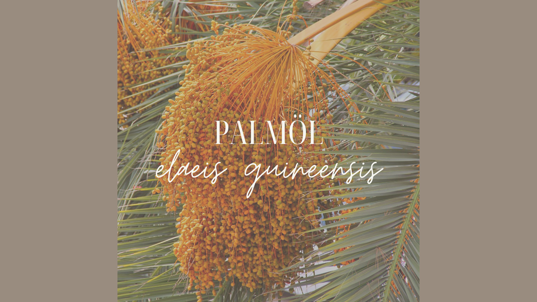 Palmöl