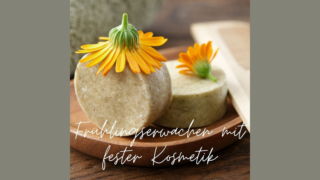 Das Bild zeigt ein festes Kosmetikprodukt dekoriert mit Ringelblumenblüten.